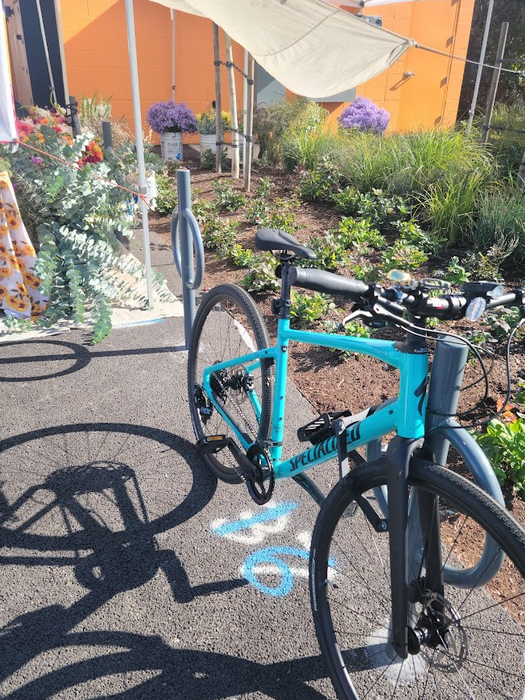 A photo of a turquoise-colored bicycle locked up at a bike rack, with flowers and landscaping behind it.